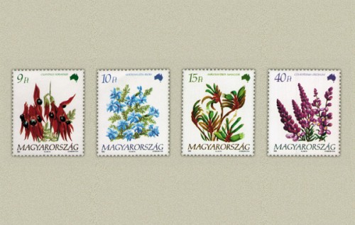 FÖLDRÉSZEK VIRÁGAI III. - SOR FÖLDRÉSZEK VIRÁGAI III. - SOR