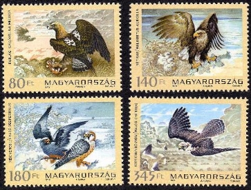 MAGYARORSZÁG ÁLLATVILÁGA- MADARAK MAGYARORSZÁG ÁLLATVILÁGA- MADARAK