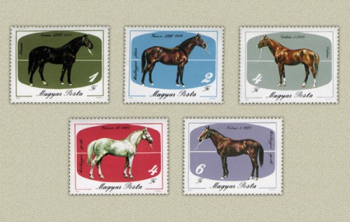 MEZŐHEGYESI LÓTENYÉSZTÉS MEZŐHEGYESI LÓTENYÉSZTÉS