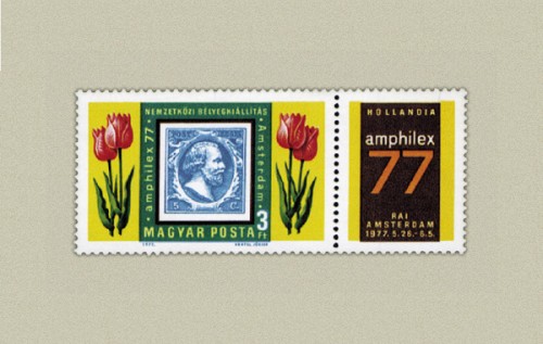 AMPHILEX II. AMPHILEX II.