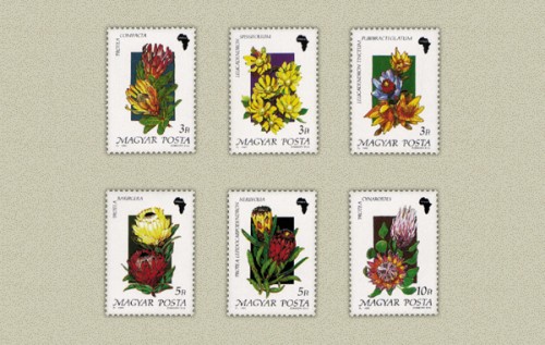 FÖLDRÉSZEK VIRÁGAI I. - SOR FÖLDRÉSZEK VIRÁGAI I. - SOR