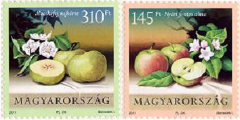 MAGYARORSZÁG KULTÚRFLÓRÁJA: GYÜMÖLCSÖK MAGYARORSZÁG KULTÚRFLÓRÁJA: GYÜMÖLCSÖK
